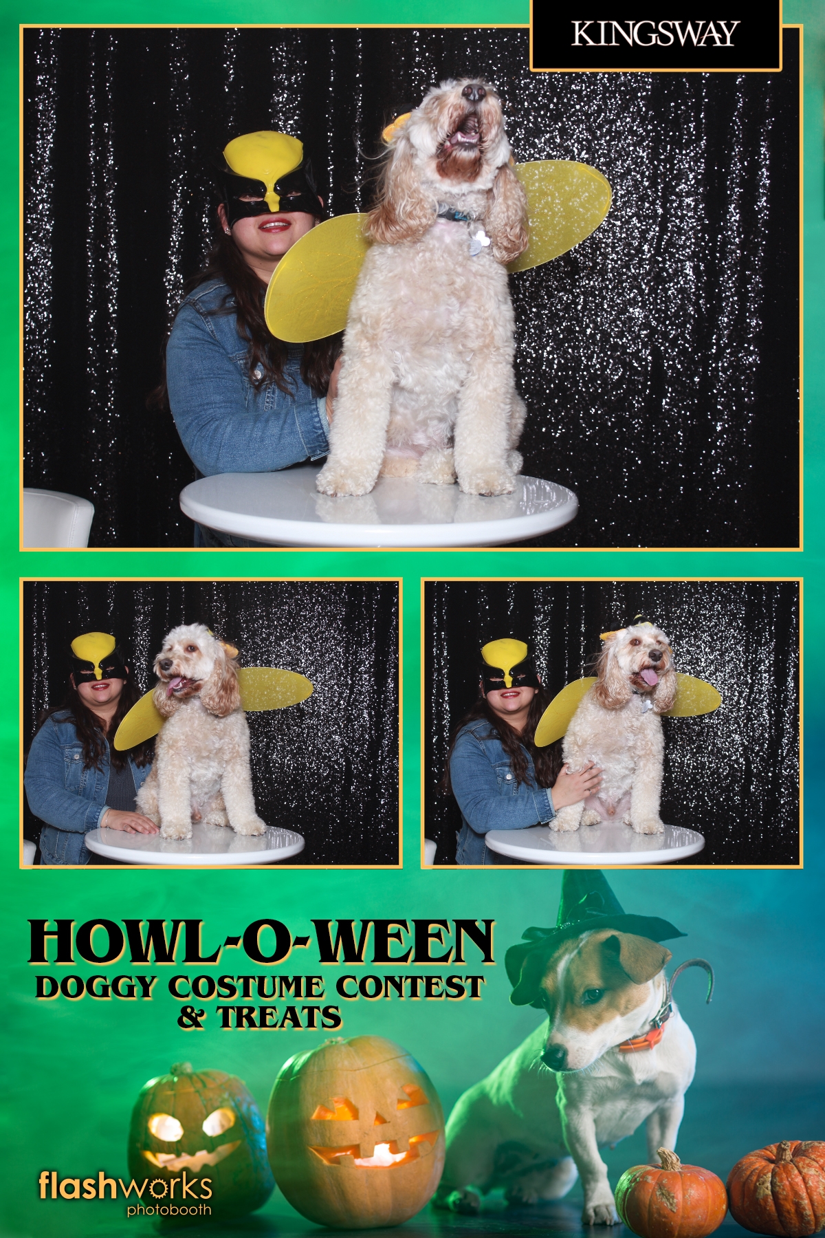 Kingsway Howl-O-Ween Doggy Costume Contest | View more photos from the event at gallery.flashworksphotobooth.com/u/FlashworksPhotoboothInc/Kingsway-Howl-O-Ween-Doggy-Costume-Contest